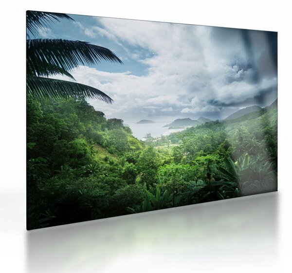 Tablou pe sticlă -Jungla din Seychelles (70x50 cm)