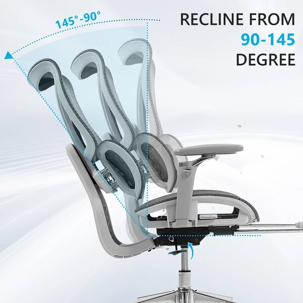 ErgoPro X866 Scaun ergonomic, Sezut Translatie, cotiere 6D, Tetiera 3D, Spătar reglabil pe 5 trepte, Suport lombar 3-Zone, Suport picioare, Baza Metalica, Full Mesh, Gri