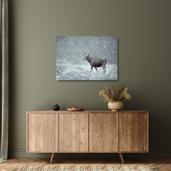 Tablou pe sticlă - Elan într-o pădure înzăpezită (70x50 cm)