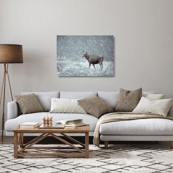 Tablou pe sticlă - Elan într-o pădure înzăpezită (70x50 cm)