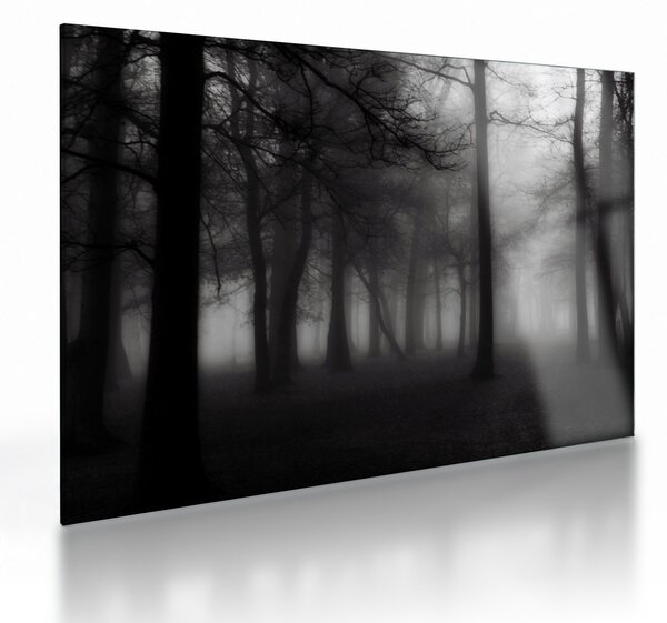 Tablou pe sticlă - Pădure în ceață (70x50 cm)