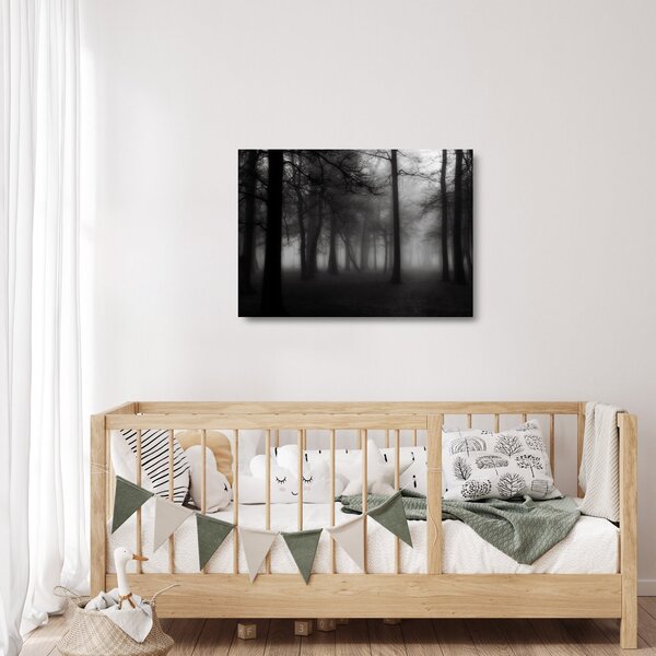 Tablou pe sticlă - Pădure în ceață (70x50 cm)