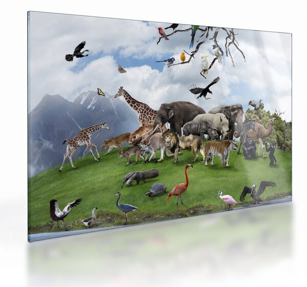Tablou pe sticlă - Animale pe insulă (70x50 cm)