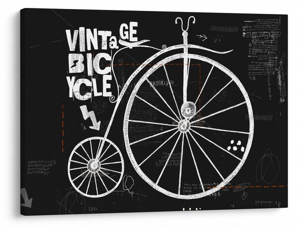 Tablou - Velociped (70x50 cm)