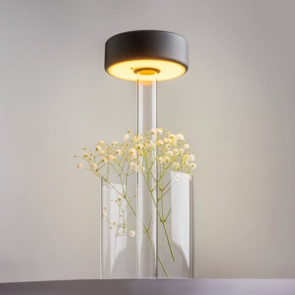 Maytoni MOD229TL-L3B3K1 - Lampă LED portabilă reglabilă 3W/5V negru/clar