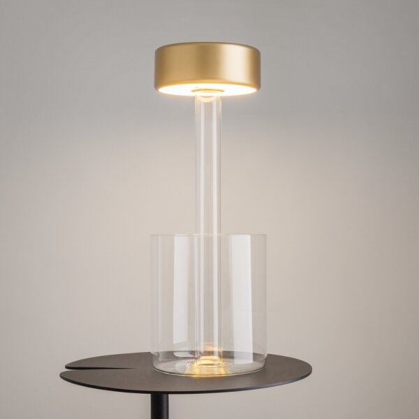 Maytoni MOD229TL-L3G3K1 - Lampă LED portabilă reglabilă 3W/5V aurie/clară