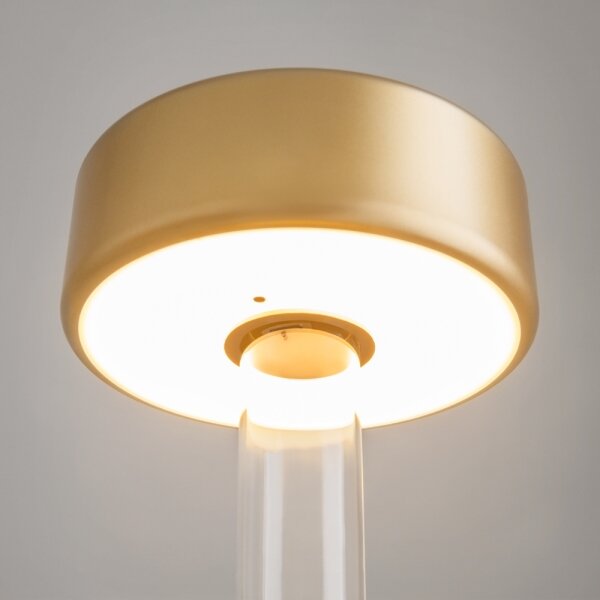 Maytoni MOD229TL-L3G3K1 - Lampă LED portabilă reglabilă 3W/5V aurie/clară