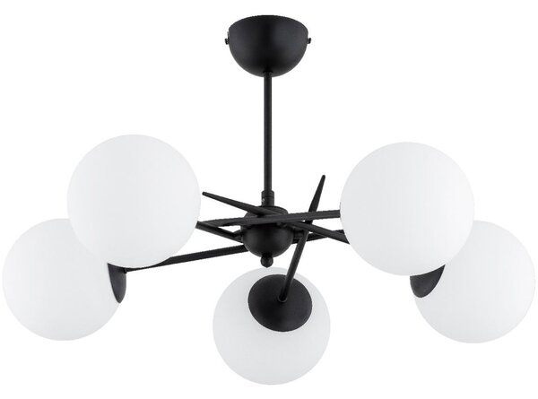 Lustră aplicată PRIMERY 5xE14/10W/230V negru