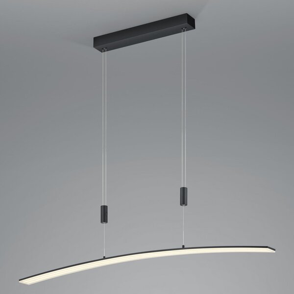 HELL Lampă suspendată cu LED Dual telecomandă CCT negru, reglabil, Negru, Camera de zi / sufragerie, Metal, Modern