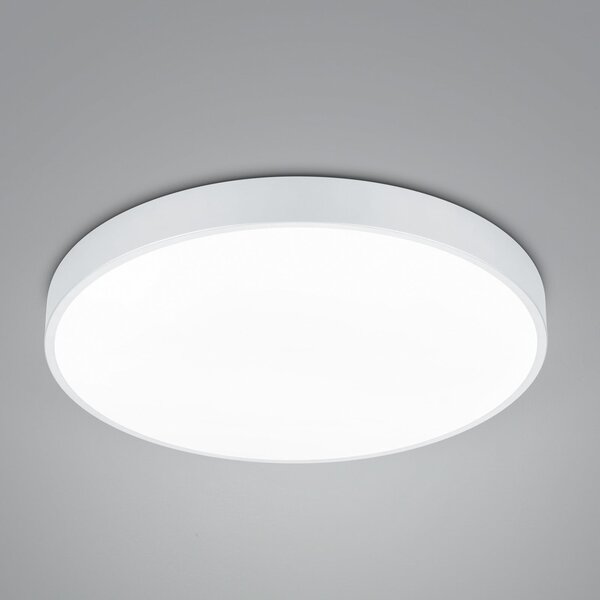 Trio Lighting Plafonieră cu LED Waco, CCT, Ø 49,5 cm, alb mat, reglabil, Alb, Camera de zi / sufragerie, Metal