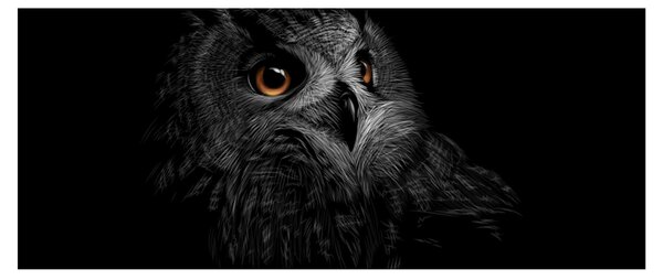 Tablou - Bufniță, ilustrație (120x50 cm)
