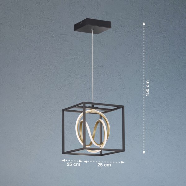 FISCHER & HONSEL Lampă suspendată LED Gisi, CCT, 1 bec, reglabil, Negru, Camera de zi / sufragerie, Metal, Modern