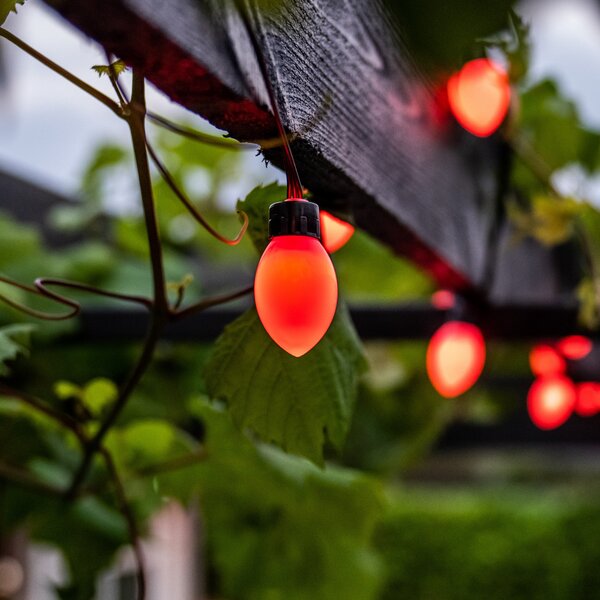 Lite Bulb Moments ghirlandă luminoasă 50x ovală, 10m, reglabil, Negru, Plastic, Modern