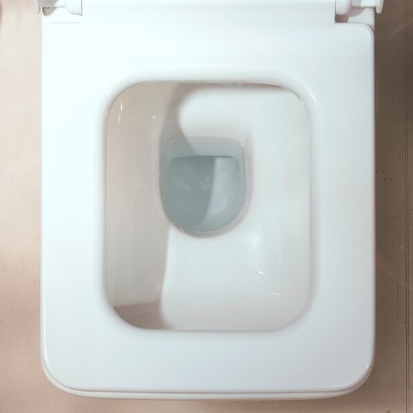 Hansgrohe EluPura Original Q vas wc stativă fără margine alb lucios 60135450
