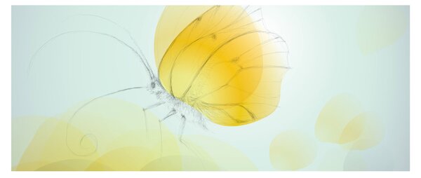 Tablou - Fluturele galben (120x50 cm)