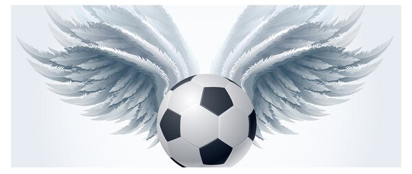Tablou - Balon cu aripi (120x50 cm)