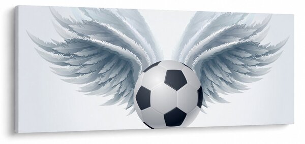 Tablou - Balon cu aripi (120x50 cm)