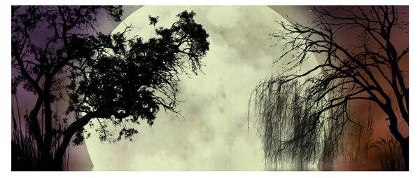 Tablou - Lună plină deasupra apei (120x50 cm)