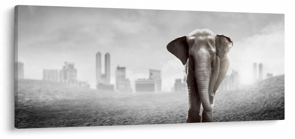 Tablou - Elefanți în oraș, versiunea alb-negru (120x50 cm)