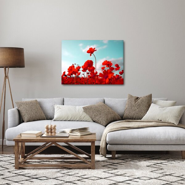 Tablou - Câmp cu flori roșu deschis (70x50 cm)