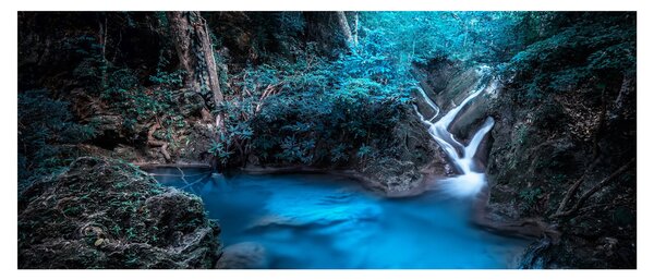 Tablou - Noaptea magică în pădurea tropicală (120x50 cm)