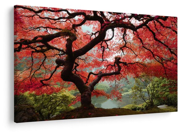 Tablou - Arțarul japonez roșu, Portland, Oregon (90x60 cm)