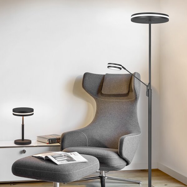 Trio Lighting Lampa LED de tavan Franklin, lampă citit, antracit, reglabil, Negru, Camera de zi / sufragerie, Metal, Modern, Lumină de lectură