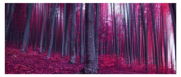 Tablou - Pădurea roz (120x50 cm)