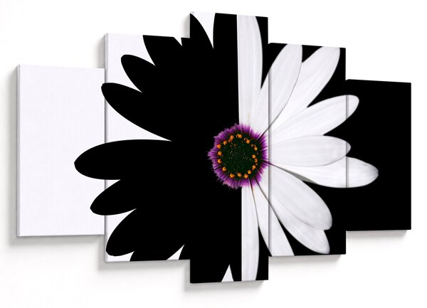 Tablou - Floare, alb- negru (150x105 cm)