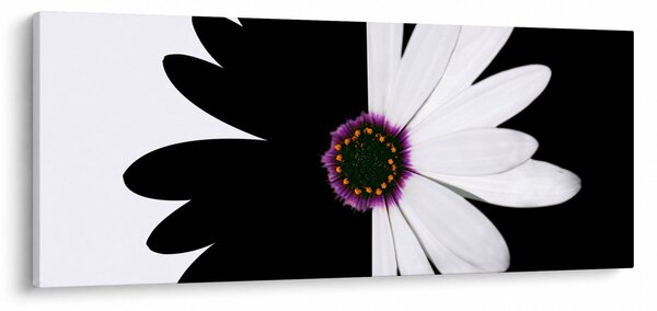 Tablou - Floare, alb- negru (120x50 cm)
