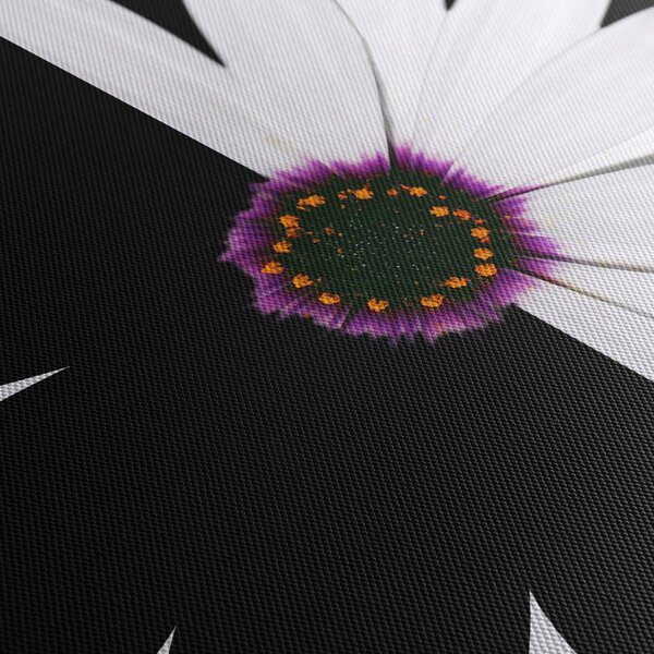 Tablou - Floare, alb- negru (90x60 cm)