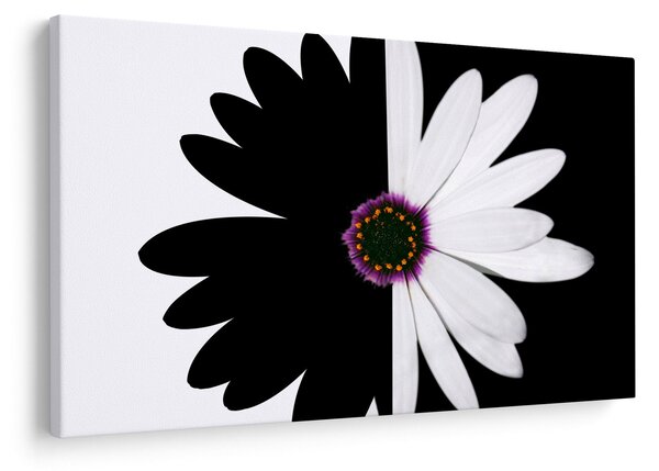 Tablou - Floare, alb- negru (90x60 cm)