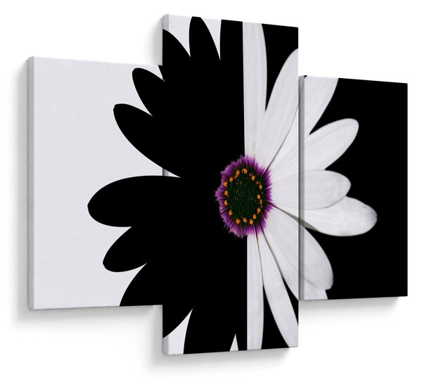 Tablou - Floare, alb- negru (90x60 cm)