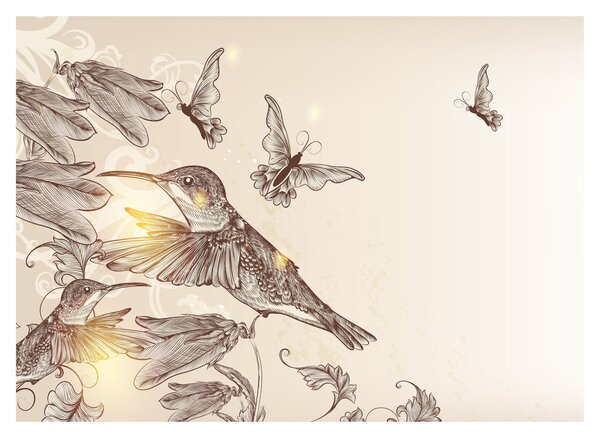 Tablou - Colibri (70x50 cm)