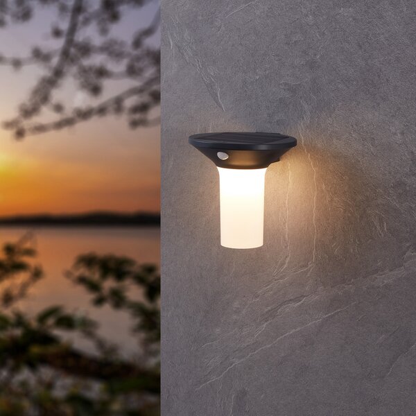 EGLO Corbezzola LED lumina solară de perete în aer liber, negru, senzor, Negru, Plastic