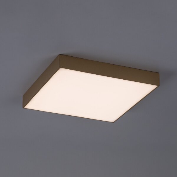 Rabalux 77000 - Plafonieră LED pentru baie TARTU 24W/230V 2800/4000/6000K IP44