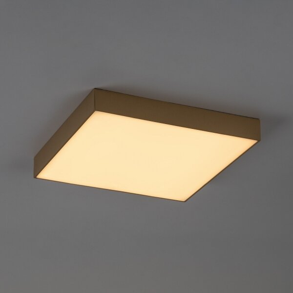 Rabalux 77000 - Plafonieră LED pentru baie TARTU 24W/230V 2800/4000/6000K IP44