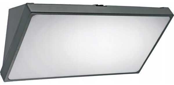 Aplică de perete pentru exterior LED/20W/230V IP65 gri