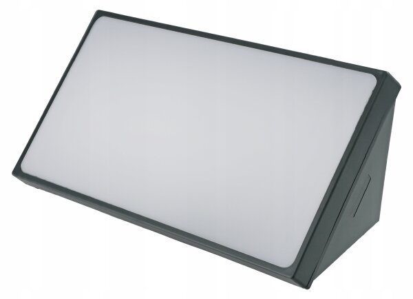 Aplică de perete pentru exterior LED/20W/230V IP65 gri