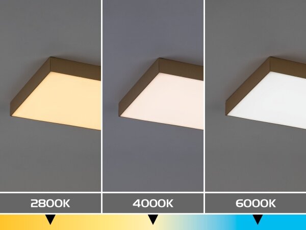 Rabalux 77000 - Plafonieră LED pentru baie TARTU 24W/230V 2800/4000/6000K IP44