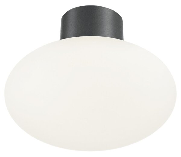 Ideal Lux - Plafonieră de exterior CLIO 1xE27/42W/230V IP44 antracit