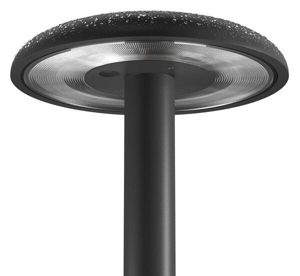 Flos Architectural FLOS Gustave lampă masă LED acumulator 3000K negru, reglabil, Negru, Metal, Design