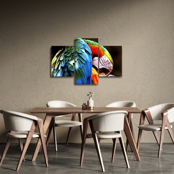Tablou - Papagal (90x60 cm)