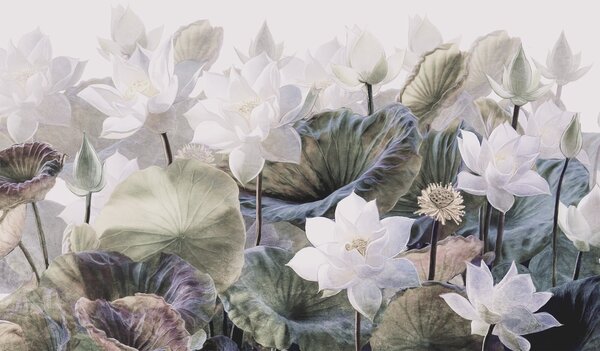 Tapet Flowers Paradise