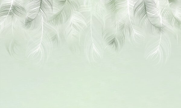 Tapet Decorative Feathers
