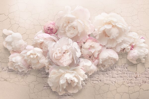 Tapet Bujori Peony Wall