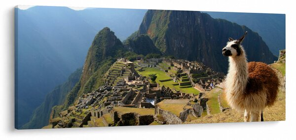 Tablou - Lama și Machu Picchu (120x50 cm)