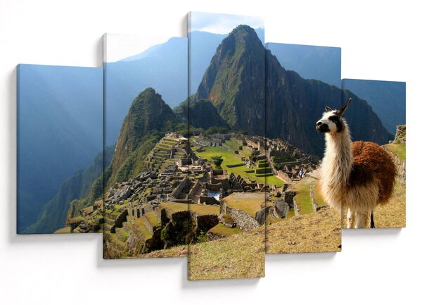 Tablou - Lama și Machu Picchu (150x105 cm)