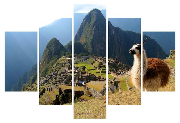 Tablou - Lama și Machu Picchu (150x105 cm)