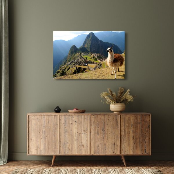 Tablou - Lama și Machu Picchu (90x60 cm)
